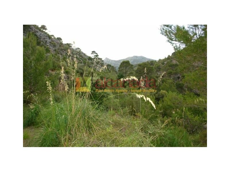 Grunde uden byggetilladelser til salg i Selva - € 140.000 (Ref: 3111952)