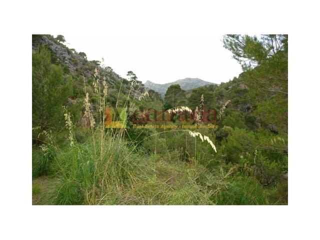 Mark till salu i Selva - 140 000 € (Ref: 3111952)