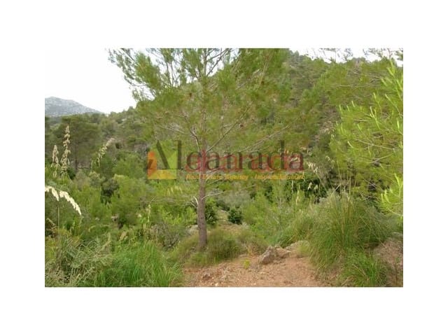 Mark till salu i Selva - 140 000 € (Ref: 3111952)