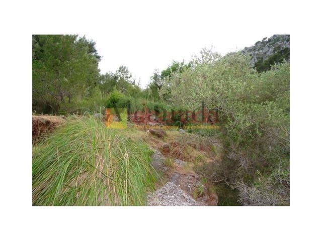 Mark till salu i Selva - 140 000 € (Ref: 3111952)