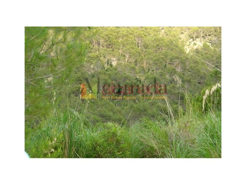 Grunde uden byggetilladelser til salg i Selva - € 140.000 (Ref: 3111952)