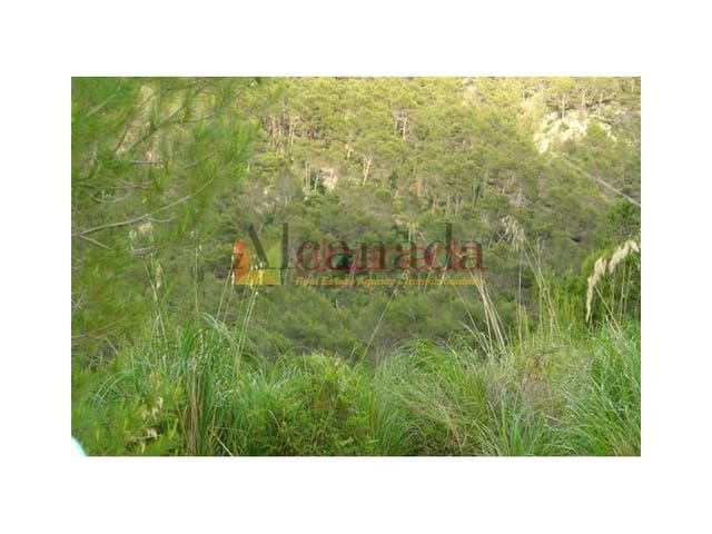 Mark till salu i Selva - 140 000 € (Ref: 3111952)