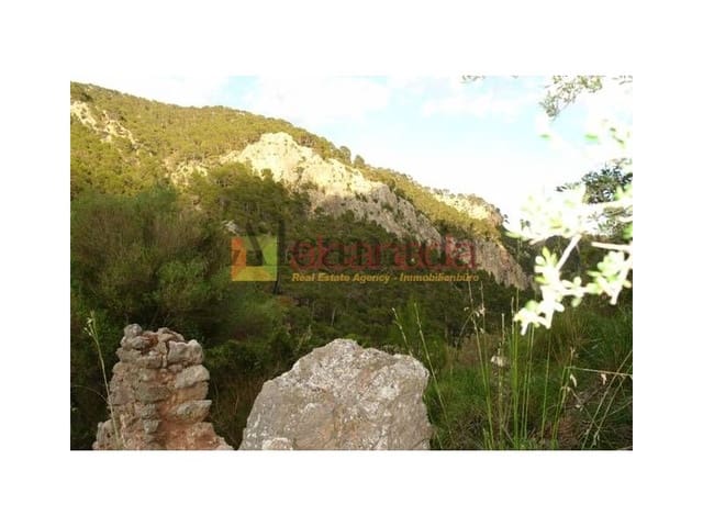 Mark till salu i Selva - 140 000 € (Ref: 3111952)