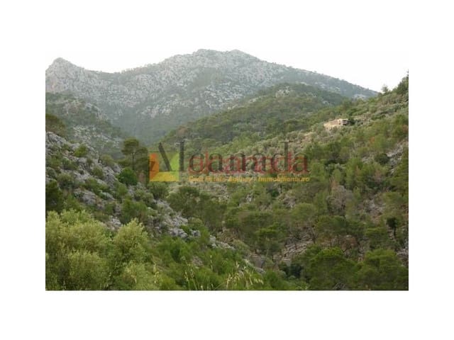 Mark till salu i Selva - 140 000 € (Ref: 3111952)