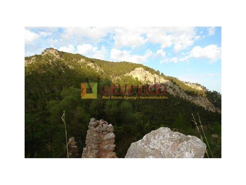 Grunde uden byggetilladelser til salg i Selva - € 140.000 (Ref: 3111952)