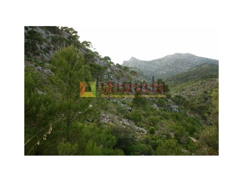 Grunde uden byggetilladelser til salg i Selva - € 140.000 (Ref: 3111952)