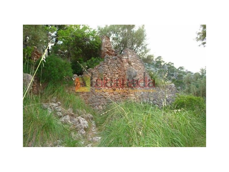 Grunde uden byggetilladelser til salg i Selva - € 140.000 (Ref: 3111952)