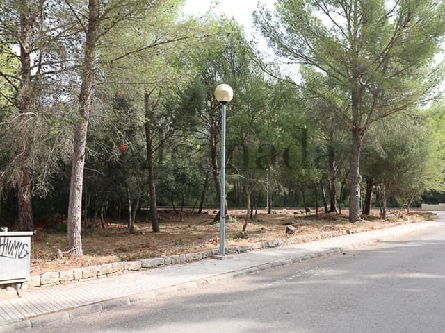 Byggegrund til salg i Alcúdia - € 390.000 (Ref: 3112011)