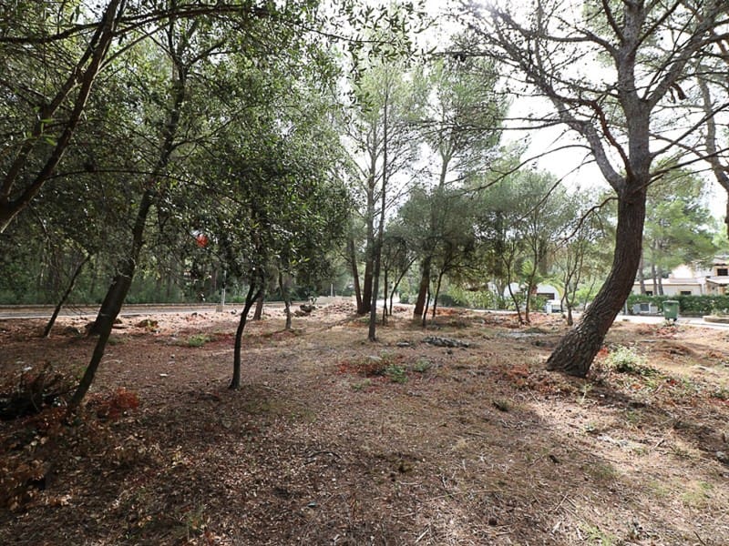 Terrain à Bâtir à vendre à Alcudia - 390 000 € (Ref: 3112011)
