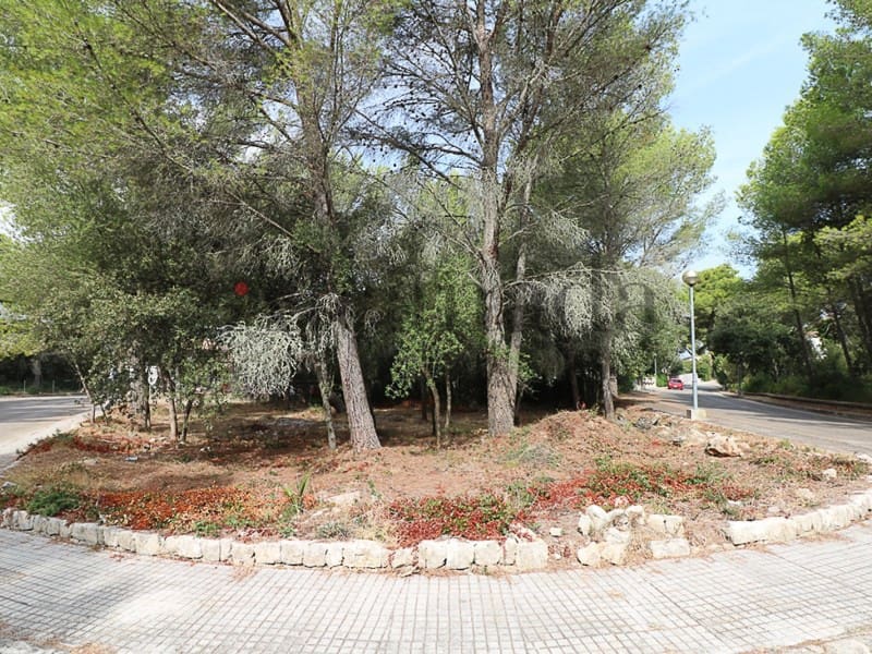 Terrain à Bâtir à vendre à Alcudia - 390 000 € (Ref: 3112011)