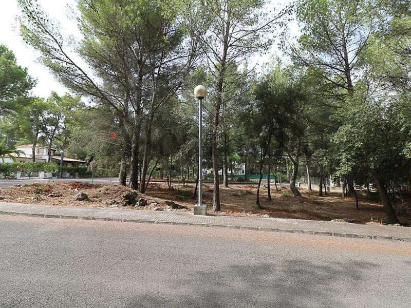 Terrain à Bâtir à vendre à Alcudia - 390 000 € (Ref: 3112011)