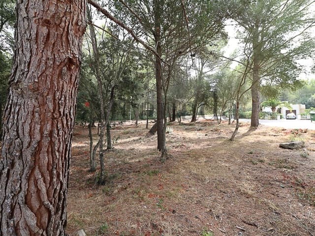 Byggegrund til salg i Alcúdia - € 390.000 (Ref: 3112011)