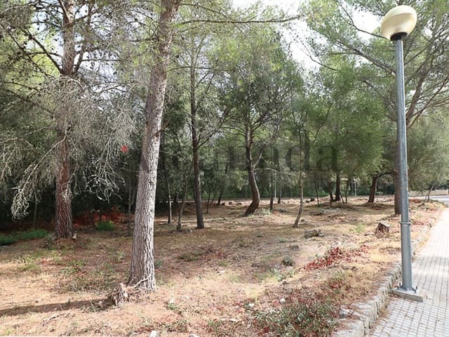 Byggegrund til salg i Alcúdia - € 390.000 (Ref: 3112011)