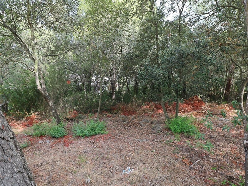 Terrain à Bâtir à vendre à Alcudia - 390 000 € (Ref: 3112011)