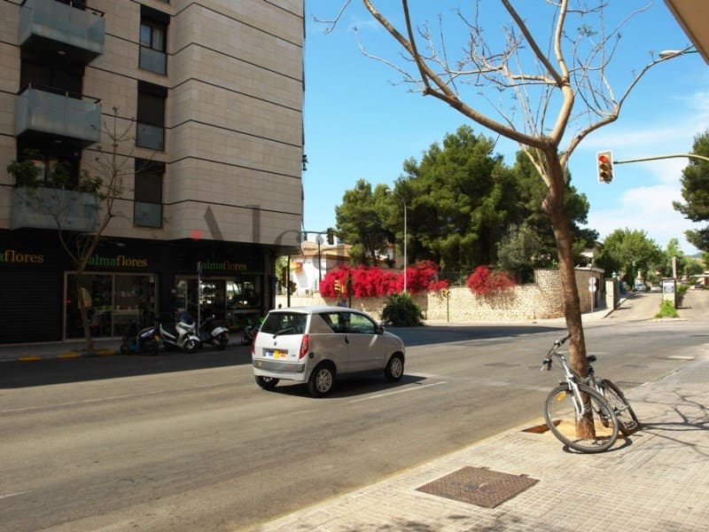 Commercieel te koop in Palma de Mallorca - € 164.800 (Ref: 3112140)