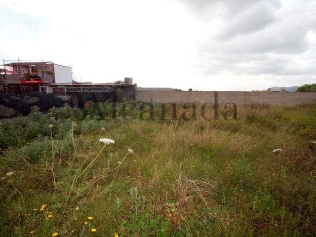 Building Plot for sale in Sa Pobla - € 233,000 (Ref: 3112206)