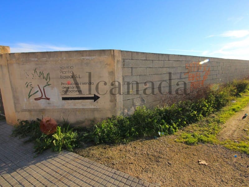 Building Plot for sale in Sa Pobla - € 233,000 (Ref: 3112206)