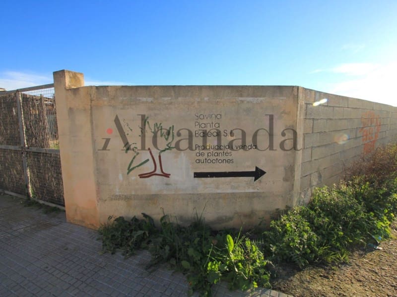 Building Plot for sale in Sa Pobla - € 233,000 (Ref: 3112206)