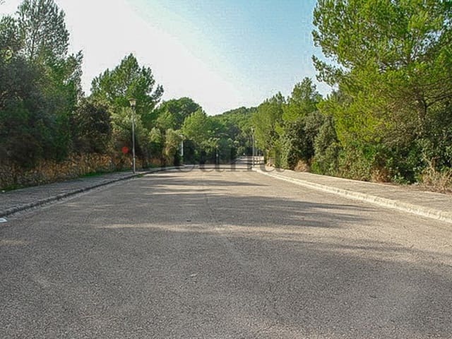 Area Edificabile in vendita in Alcúdia - 210.000 € (Rif: 3247331)