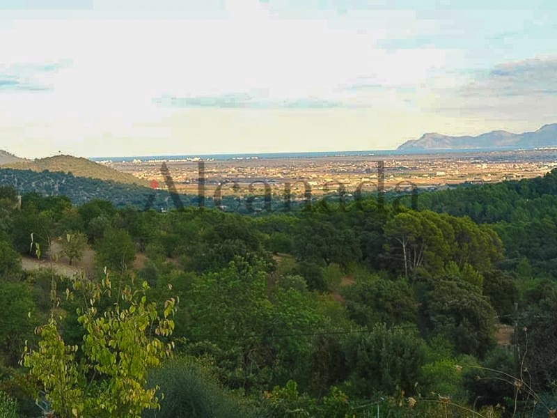 Byggegrund til salg i Campanet - € 900.000 (Ref: 3323396)