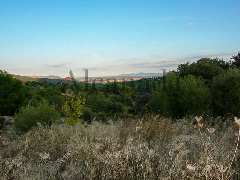 Byggegrund til salg i Campanet - € 900.000 (Ref: 3323396)