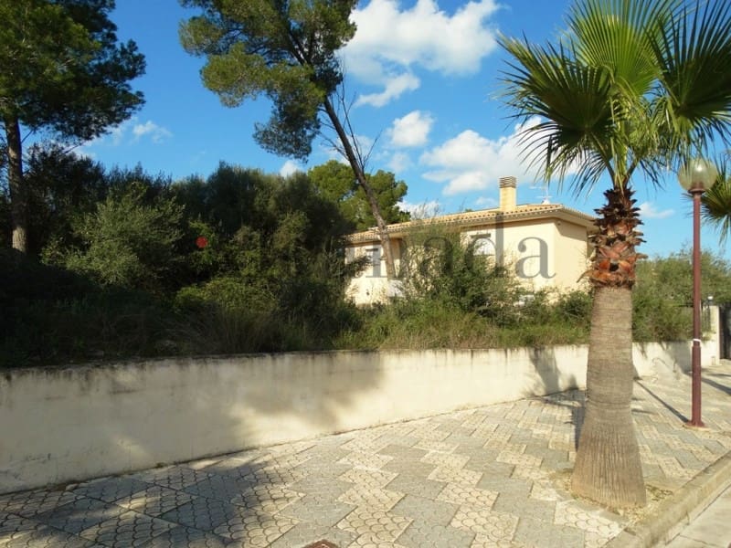 Byggegrund til salg i Ca'n Picafort - € 204.500 (Ref: 3324911)