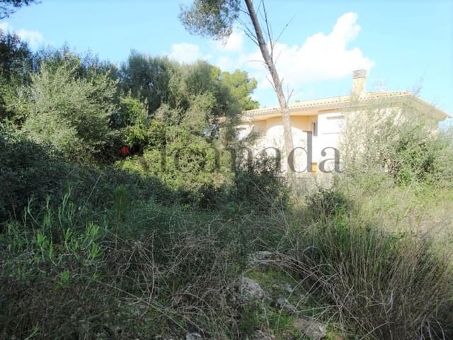 Building Plot for sale in Ca'n Picafort, Santa Margalida - € 204,500 (Ref: 3324911)