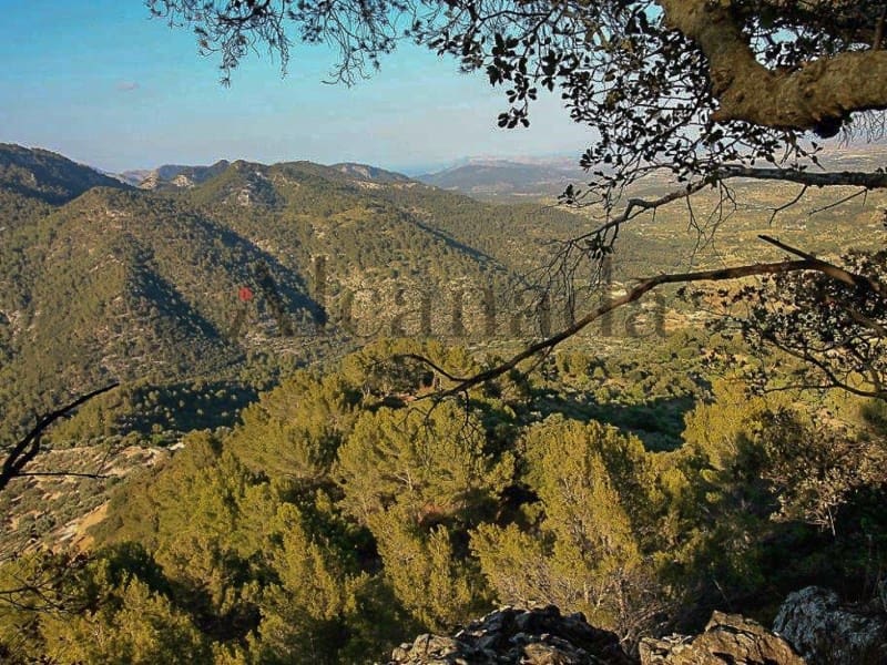 3 soverom Villa til salgs i Mancor de la Vall - € 1 200 000 (Ref: 3473129)