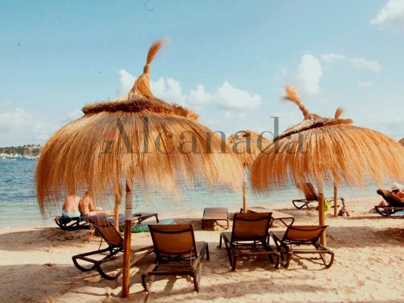 Commercieel te koop in Pollensa / Pollenca - € 458.000 (Ref: 3575237)