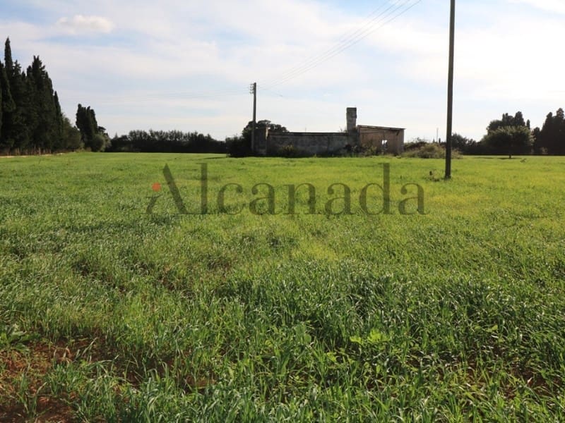 5 soveværelse Villa til salg i Inca - € 1.450.000 (Ref: 3681910)