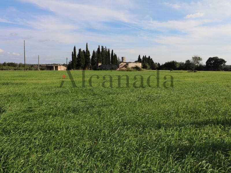 5 soveværelse Villa til salg i Inca - € 1.450.000 (Ref: 3681910)