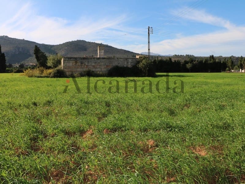 5 soveværelse Villa til salg i Inca - € 1.450.000 (Ref: 3681910)