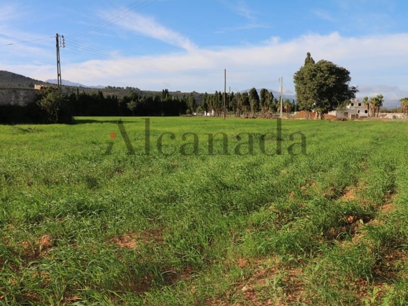 5 soveværelse Villa til salg i Inca - € 1.450.000 (Ref: 3681910)