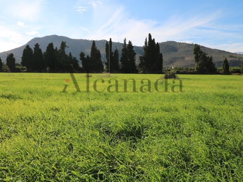 5 soveværelse Villa til salg i Inca - € 1.450.000 (Ref: 3681910)