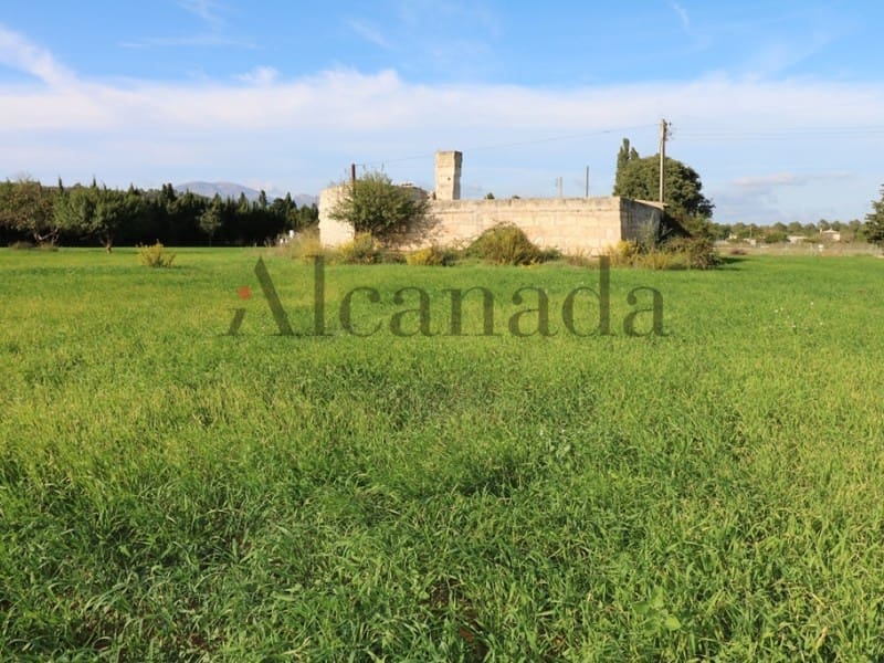 5 soveværelse Villa til salg i Inca - € 1.450.000 (Ref: 3681910)