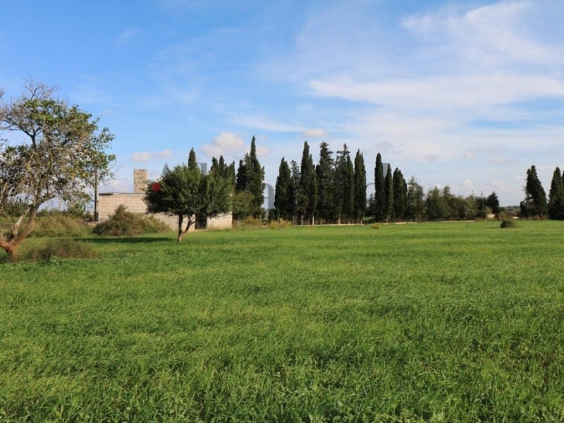 5 soveværelse Villa til salg i Inca - € 1.450.000 (Ref: 3681910)