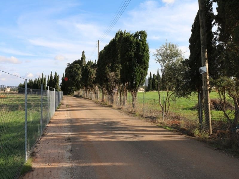 5 soveværelse Villa til salg i Inca - € 1.450.000 (Ref: 3681910)