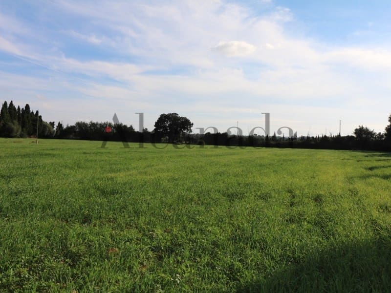 5 soveværelse Villa til salg i Inca - € 1.450.000 (Ref: 3681910)