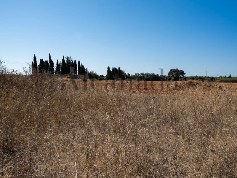 5 soveværelse Villa til salg i Inca - € 1.450.000 (Ref: 3681910)