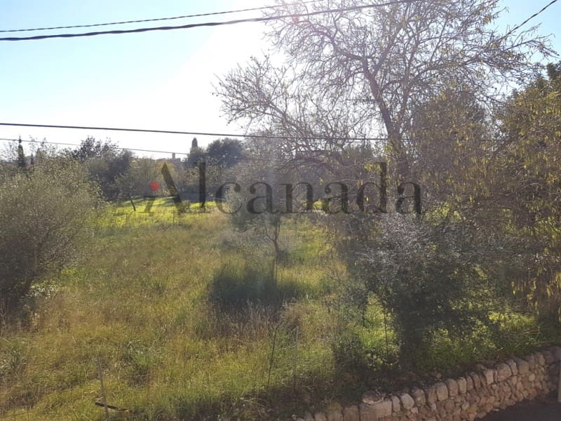 Byggegrund til salg i Campanet - € 170.000 (Ref: 3764265)