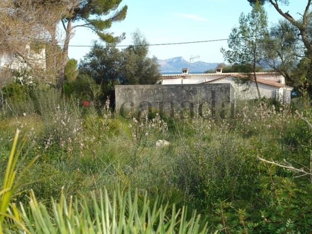 Bauplatz zu verkaufen in Alcúdia - 640.000 € (Ref: 3852078)