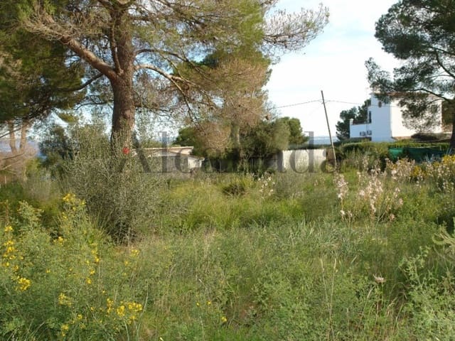 Bauplatz zu verkaufen in Alcúdia - 640.000 € (Ref: 3852078)