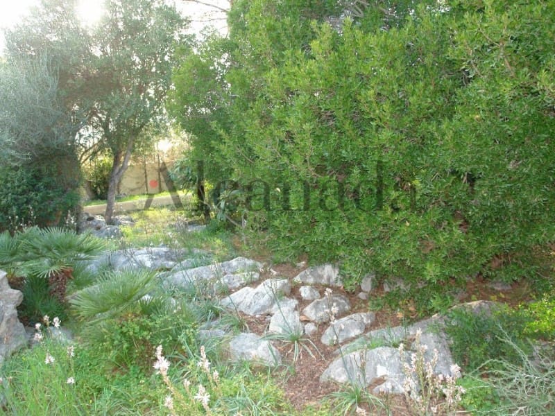 Byggegrund til salg i Alcudia - € 640.000 (Ref: 3852078)