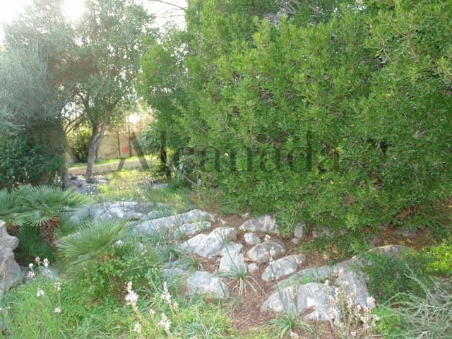 Bauplatz zu verkaufen in Alcúdia - 640.000 € (Ref: 3852078)