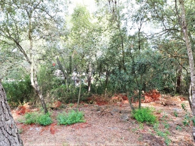 Terrain à Bâtir à vendre à Alcúdia - 305 000 € (Ref: 3990115)