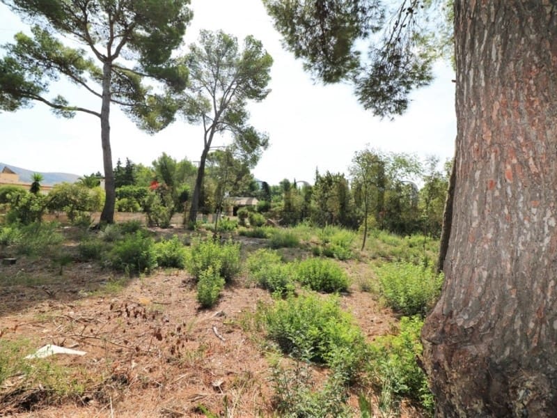 Terrain à Bâtir à vendre à Alcudia - 550 000 € (Ref: 3990117)