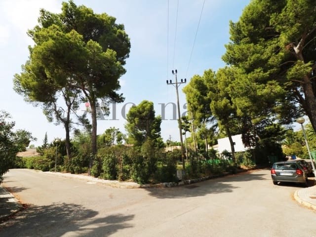 Bouwgrond te koop in Alcúdia - € 315.000 (Ref: 3990121)