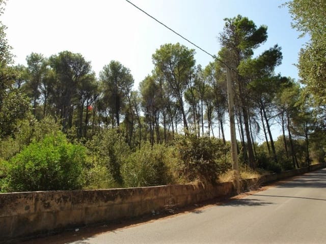 Solar/Parcela en Alcúdia en venta - 331.000 € (Ref: 3990122)