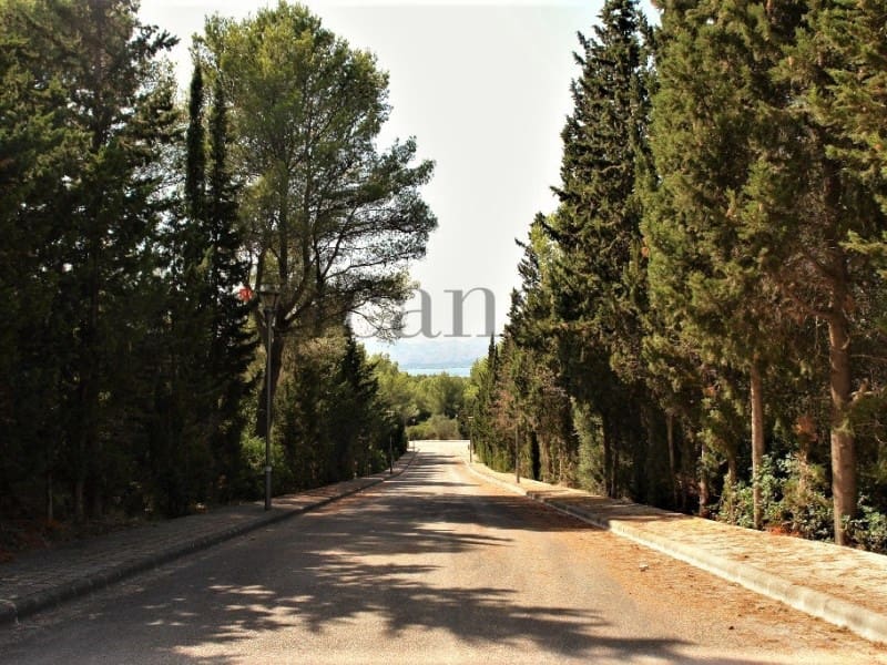 Terrain à Bâtir à vendre à Alcudia - 305 000 € (Ref: 3990123)