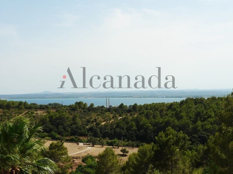 Terrain à Bâtir à vendre à Alcudia - 315 000 € (Ref: 3990124)